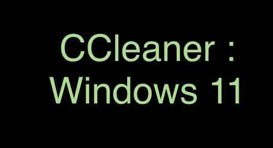 CCleaner per Windows 11