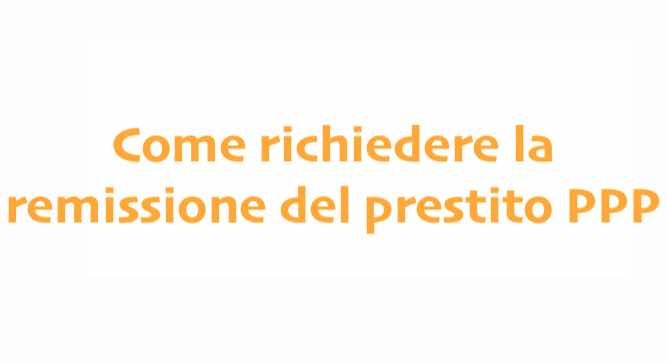 Scopri di più sull'articolo Come richiedere la remissione del prestito PPP