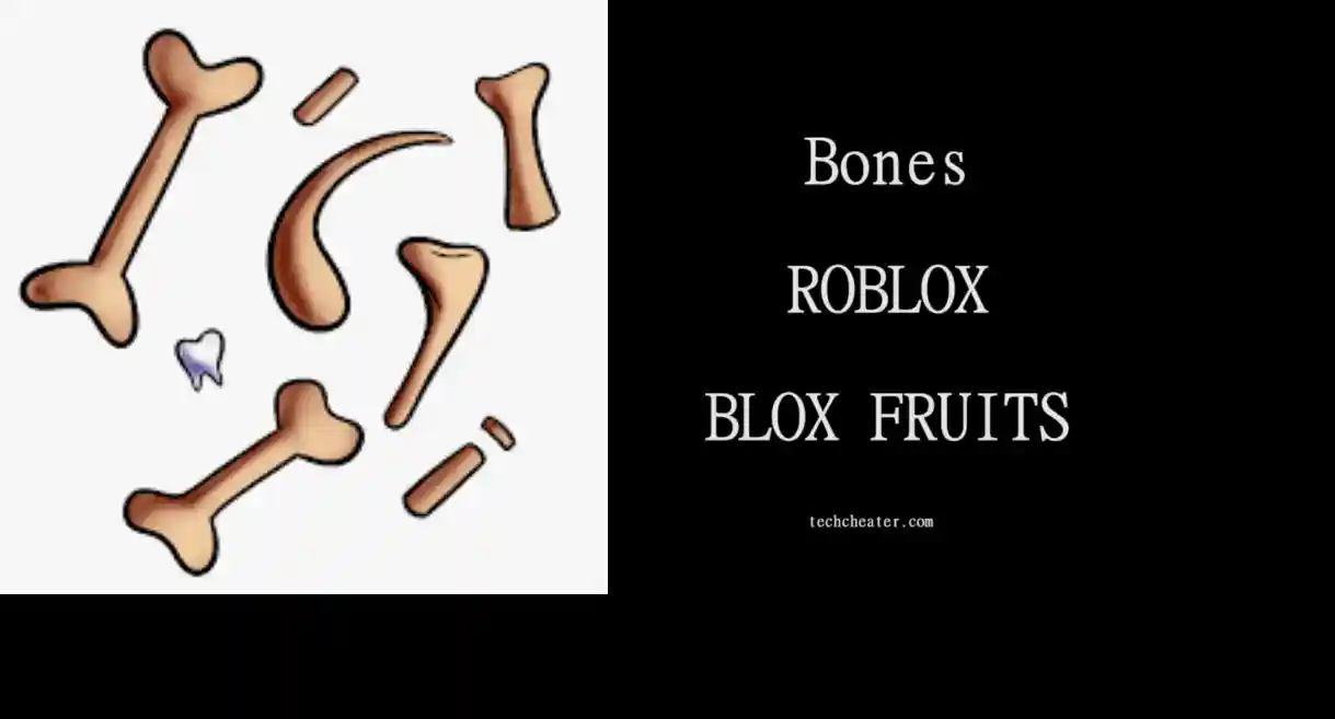 Scopri di più sull'articolo Come ottenere le ossa in Blox Fruits Roblox