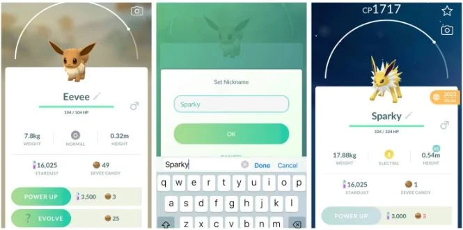 Perché le evoluzioni di Eevee non funzionano?